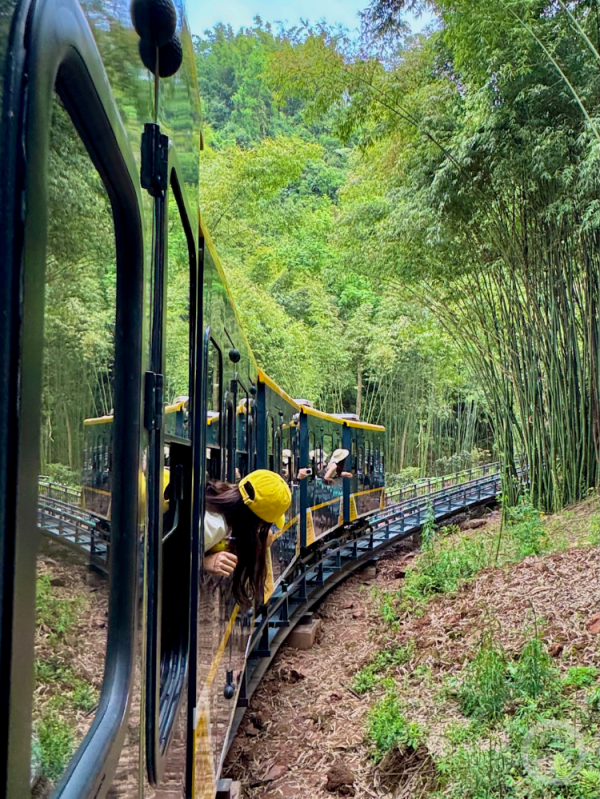 宇轩配资 成都一景区五一正式开行“竹海列车”，单程约20分钟票价暂未定