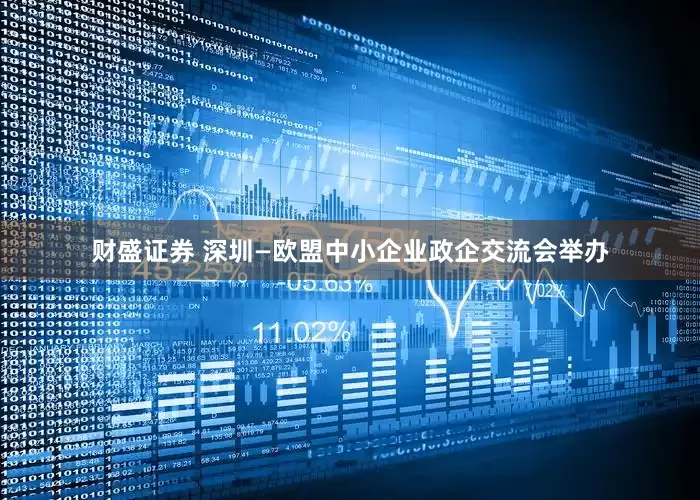 财盛证券 深圳—欧盟中小企业政企交流会举办