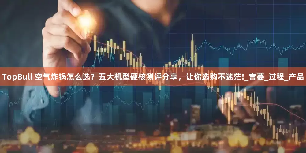TopBull 空气炸锅怎么选？五大机型硬核测评分享，让你选购不迷茫!_宫菱_过程_产品