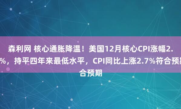 森利网 核心通胀降温！美国12月核心CPI涨幅2.6%，持平四年来最低水平，CPI同比上涨2.7%符合预期